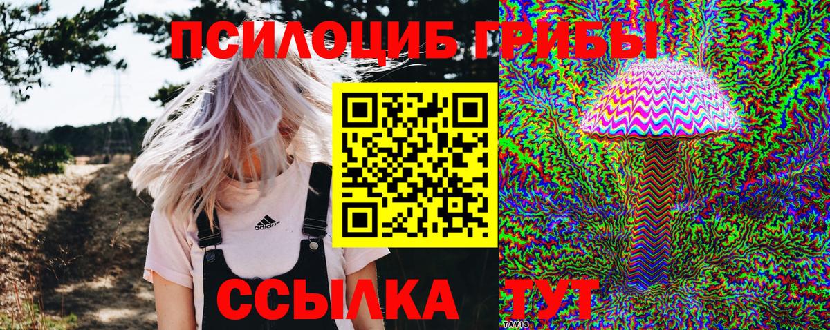 Галлюциногенные грибы Magic Shrooms Новошахтинск