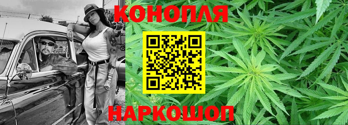 Шишки марихуана планчик Новошахтинск